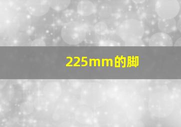 225mm的脚