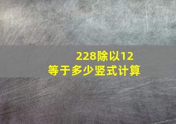 228除以12等于多少竖式计算