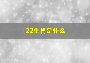 22生肖是什么