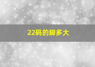 22码的脚多大