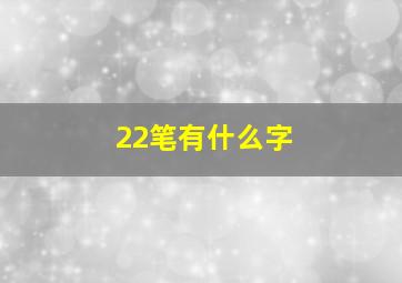 22笔有什么字