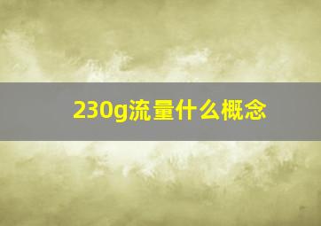 230g流量什么概念