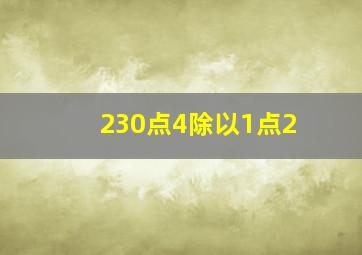 230点4除以1点2