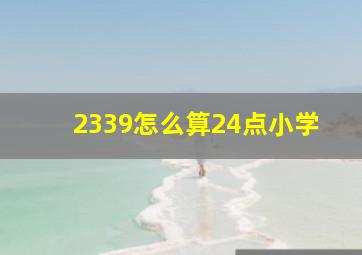 2339怎么算24点小学