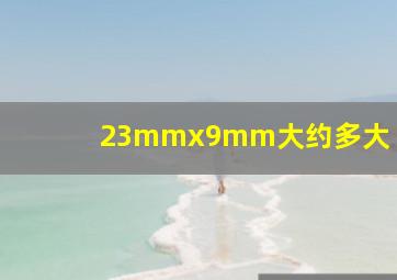 23mmx9mm大约多大