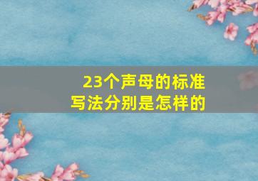 23个声母的标准写法分别是怎样的