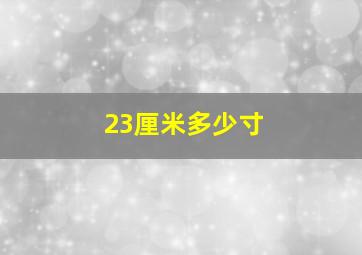 23厘米多少寸