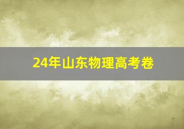 24年山东物理高考卷