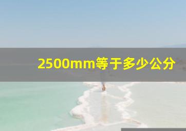 2500mm等于多少公分