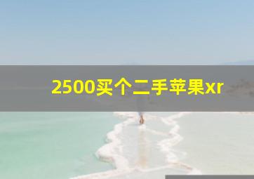 2500买个二手苹果xr