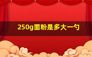 250g面粉是多大一勺