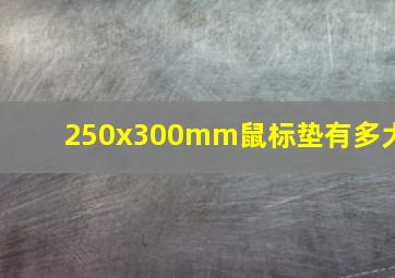 250x300mm鼠标垫有多大