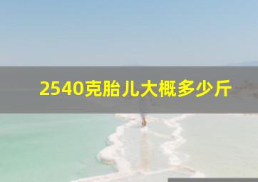 2540克胎儿大概多少斤