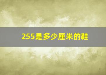 255是多少厘米的鞋