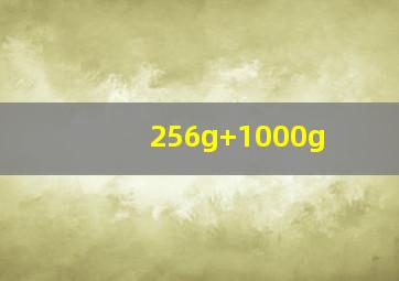 256g+1000g