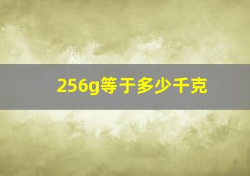 256g等于多少千克