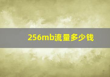 256mb流量多少钱