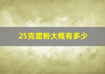 25克面粉大概有多少