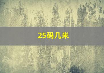 25码几米