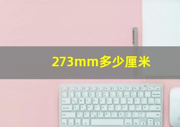 273mm多少厘米