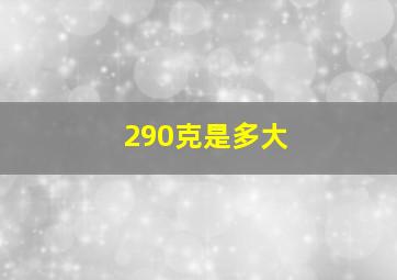 290克是多大