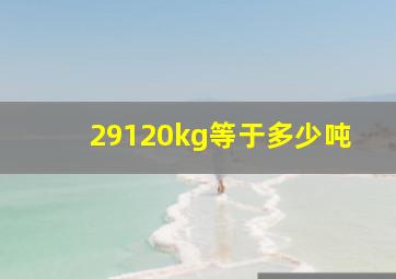 29120kg等于多少吨