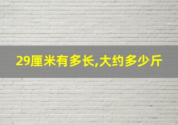 29厘米有多长,大约多少斤