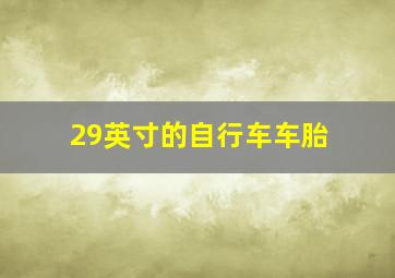 29英寸的自行车车胎