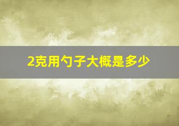 2克用勺子大概是多少