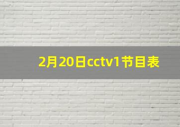 2月20日cctv1节目表