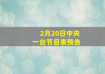 2月20日中央一台节目表预告