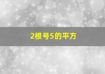 2根号5的平方