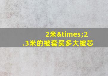 2米×2.3米的被套买多大被芯