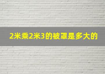 2米乘2米3的被罩是多大的