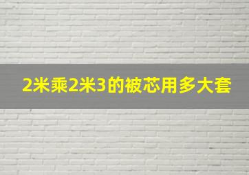 2米乘2米3的被芯用多大套