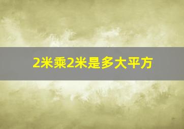 2米乘2米是多大平方