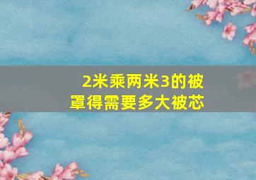 2米乘两米3的被罩得需要多大被芯