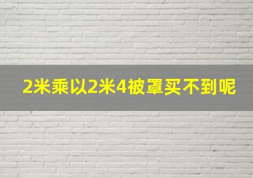 2米乘以2米4被罩买不到呢