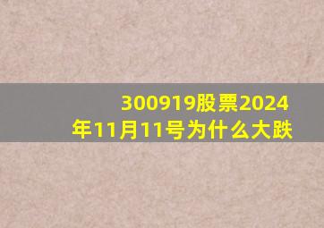 300919股票2024年11月11号为什么大跌