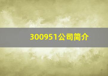 300951公司简介