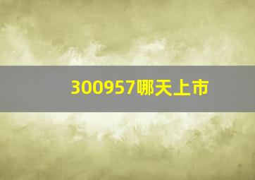 300957哪天上市