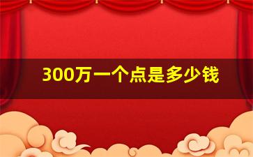 300万一个点是多少钱