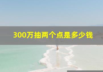 300万抽两个点是多少钱