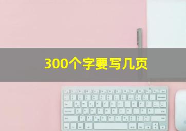 300个字要写几页