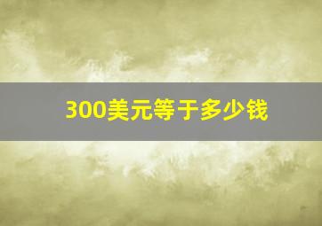 300美元等于多少钱