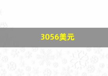 3056美元