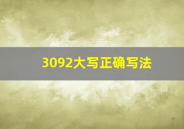 3092大写正确写法