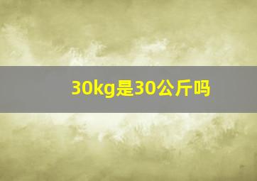 30kg是30公斤吗