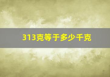 313克等于多少千克