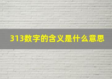 313数字的含义是什么意思